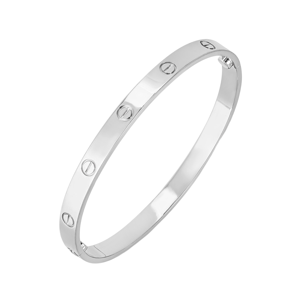 Eternity Bracelet in Stainless Steel