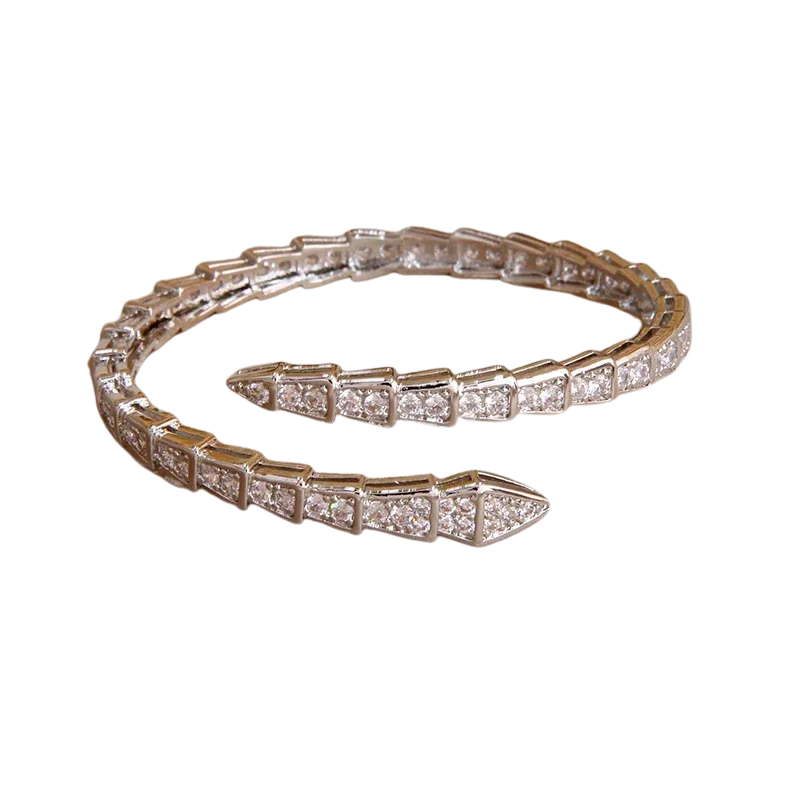 Snake Bracelet in Silver-Tone Stainless Steel